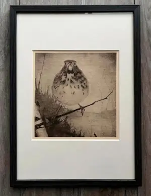Jan Mankes - Originele Heliogravure Lijster op Tak 1923 kopen? Bied vanaf 195!