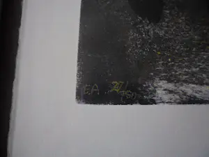 Herman Brood - Zeefdruk, Alex, kopen? Bied vanaf 225!