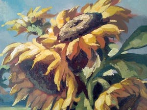 Niet of onleesbaar gesigneerd - Zonnebloemen kopen? Bied vanaf 1!