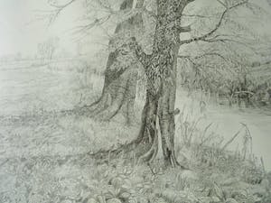 Cees Schellenberg - Tekening - Mariapolder Dordrecht kopen? Bied vanaf 60!