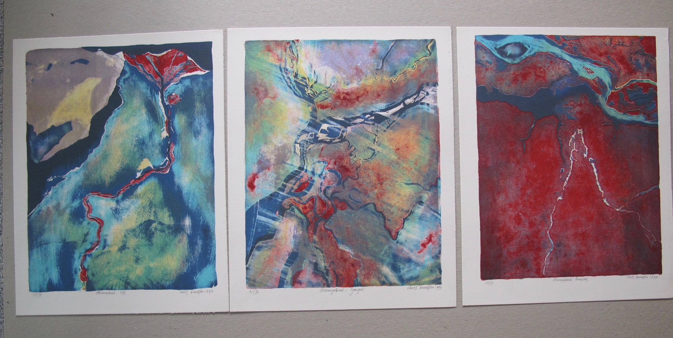 Chris Buursen - stroomgebied kopen? Bied vanaf 15!