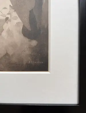 Jan Mankes - Originele Heliogravure Raaf in Berkenboom 1923 kopen? Bied vanaf 155!