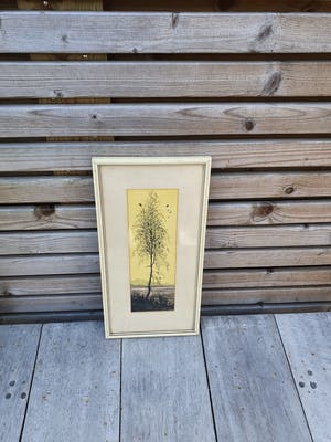 Tom Anema - Boom met vogels kopen? Bied vanaf 34!