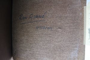 Rien Goene - olieverf op doek: Teken kopen? Bied vanaf 395!