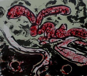 Henk Huig - litho: vuurvlieg - 1964 kopen? Bied vanaf 45!