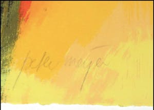 Peter Meijer - Zeefdruk, Oqives - Ingelijst (Groot) kopen? Bied vanaf 100!