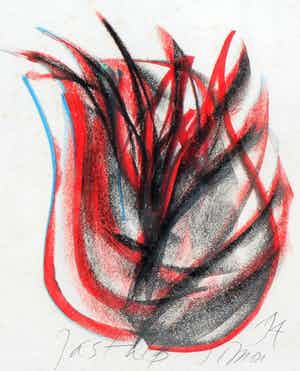 Simon Vinkenoog - krijttekening: Jas Tulp - 1994 verkocht voor € 125!