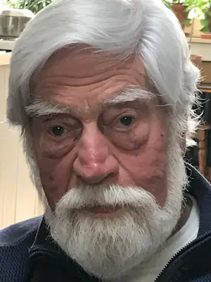 Joop Mijsbergen - Bocht bij Bath IV ( Westerschelde) kopen? Bied vanaf 50!