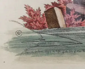 George Edwards - twee Gevogelte prenten kopen? Bied vanaf 19!