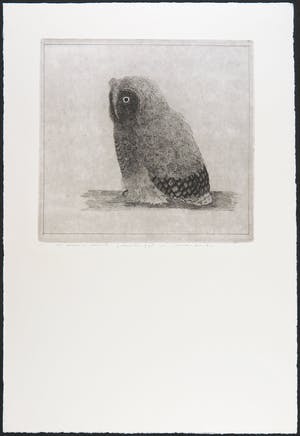 Charles Donker - Ets, Uiltje kopen? Bied vanaf 350!