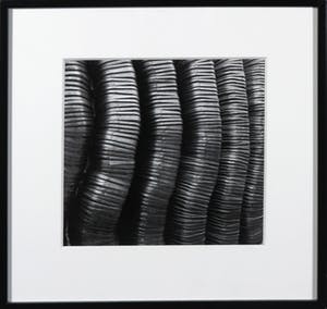 Paul Huf - Foto, Davo Haarden kopen? Bied vanaf 1!