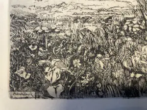 Theo Beerendonk - Knotwilg met koe kopen? Bied vanaf 40!