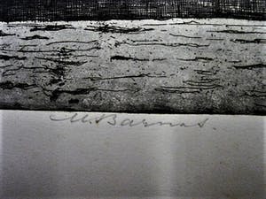 Niet of onleesbaar gesigneerd - GROTE gesigneerde Ets "Rotterdam stoomschip in parkhaven" kopen? Bied vanaf 1!