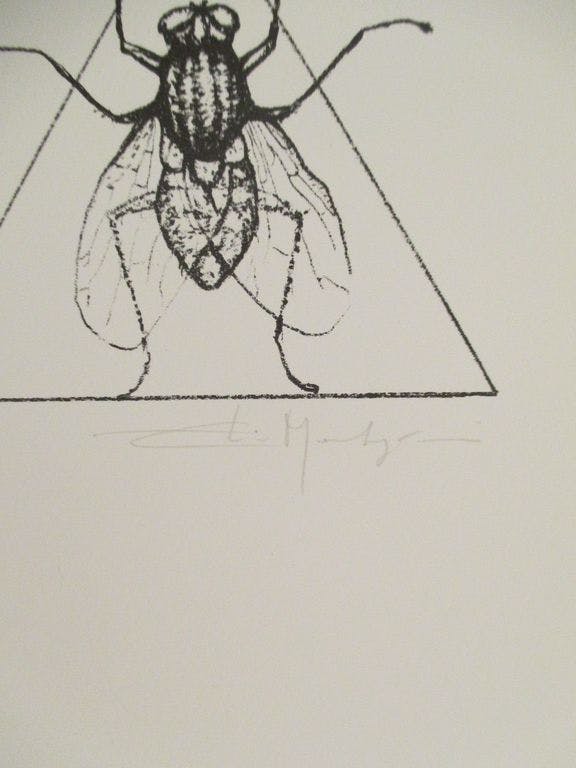 Elio Marchegiani - Elio Marchegiani - Lithografie - La mosca kopen? Bied vanaf 55!