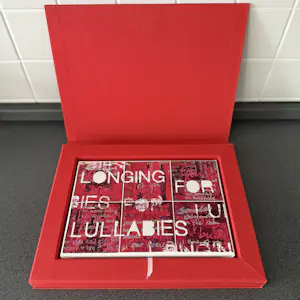 Ruud de Wild - Longing for lullabies (276/500) kopen? Bied vanaf 125!