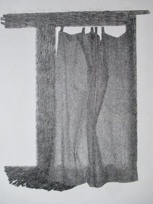 Henk van der Haar - litho "gordijn" voor De Luis kopen? Bied vanaf 40!