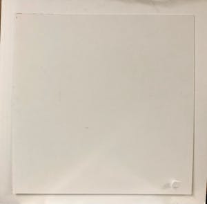 Ada Breedveld - Vissen kopen? Bied vanaf 45!