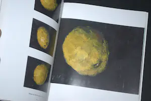 Peter B. van Houten - gesigneerd boek kopen? Bied vanaf 12!