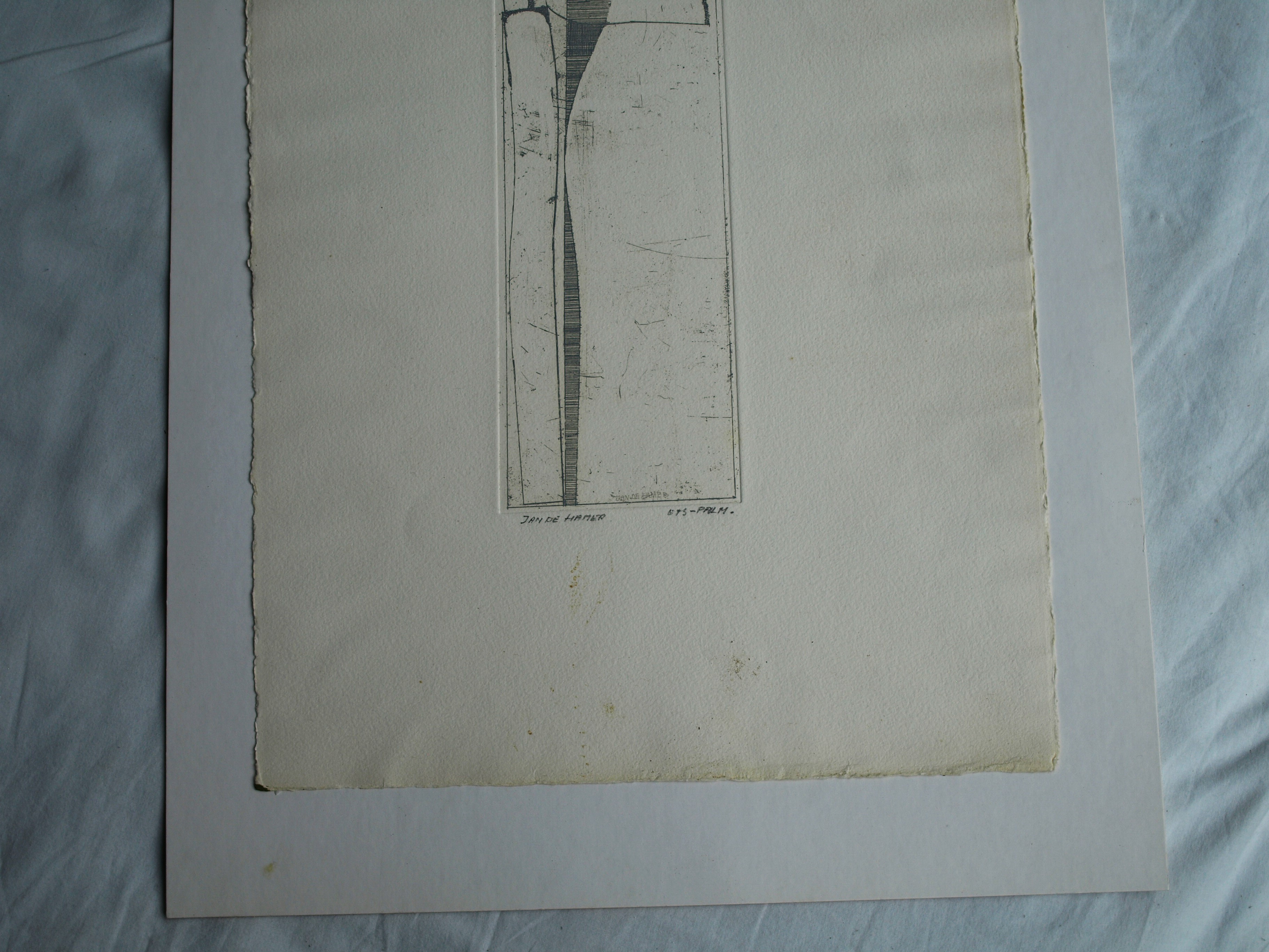 Jan de Hamer - Ets, Palm – gesigneerd – ca 1975 kopen? Bied vanaf 1!