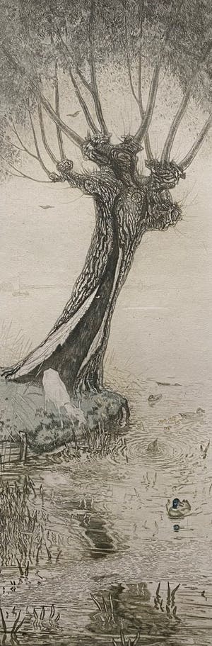 Tjeerd Bottema - Waterland kopen? Bied vanaf 30!