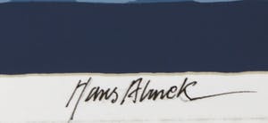 Hans Almekinders - Zeefdruk, Nieuwe nudiste kopen? Bied vanaf 1!