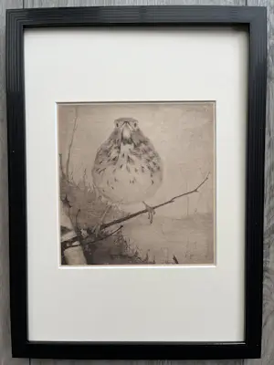 Jan Mankes - Originele Heliogravure Lijster op Tak 1923 kopen? Bied vanaf 185!