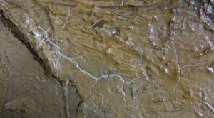 René Dekeyser - Olieverf op doek, Zonder titel kopen? Bied vanaf 100!