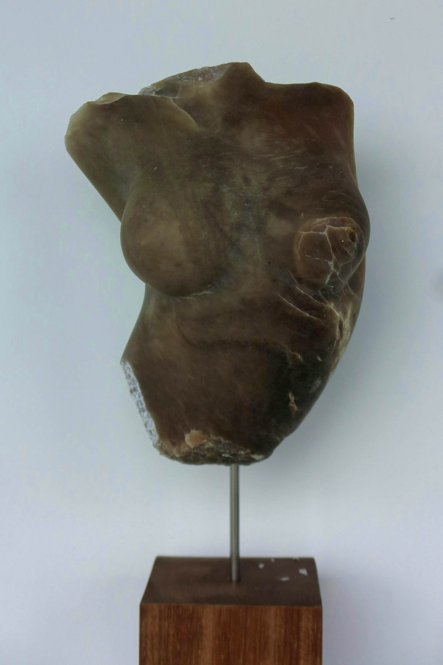 Angelo Moyano - Sculptuur van natuursteen / albast op houten sokkel, Vrouwentorso kopen? Bied vanaf 1500!