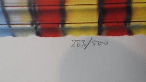 Herman Brood - de wasvrouw kopen? Bied vanaf 40!