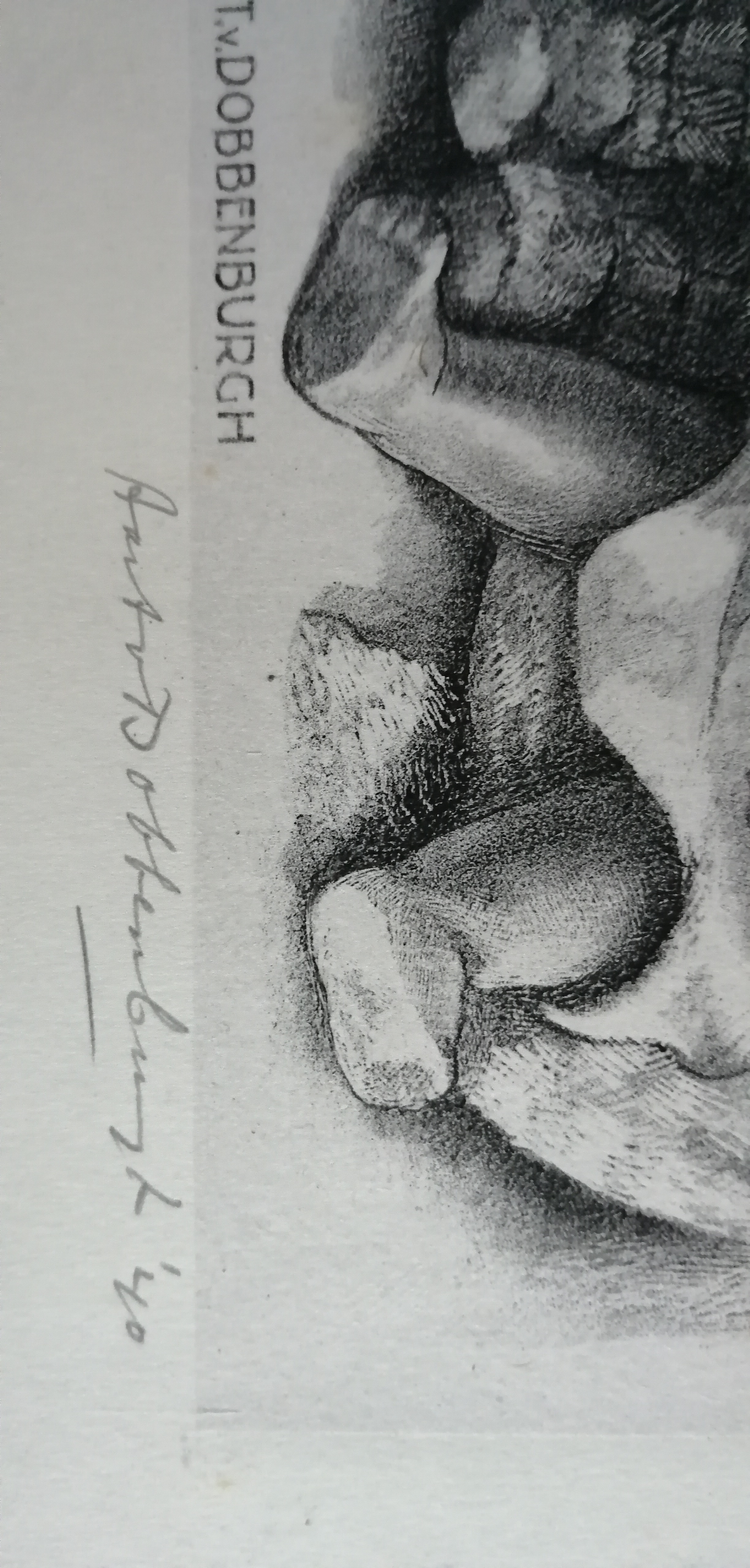 Aart van Dobbenburgh - Dankbetuiging kopen? Bied vanaf 25!