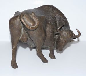 Evert den Hartog - Stier kopen? Bied vanaf 750!