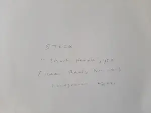 Lou Strik - 2 Houtsnede, Short People gesigneerd, dorpsgezicht druk gesigneerd. kopen? Bied vanaf 40!