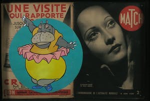 Jan Bollaert - Acryl op papier, Match I Hippo - Ingelijst kopen? Bied vanaf 1!