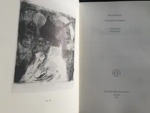 Felicien Rops - drie boeken + kunstkaart kopen? Bied vanaf 35!