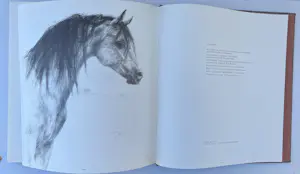 Piet Klaasse - Concours Hippographique kopen? Bied vanaf 50!