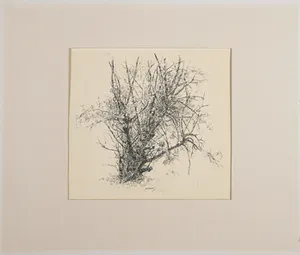 Ery Brusse - Pentekening, Struik kopen? Bied vanaf 1!