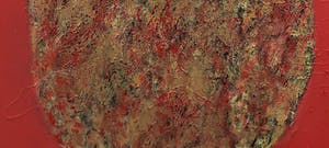 Bert Braam - Acryl op doek, Golden Tulip (Zeer Groot) kopen? Bied vanaf 250!