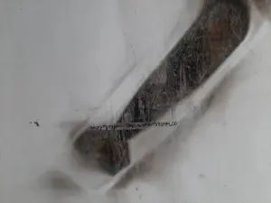 Roland van den Berghe - Stropdas kopen? Bied vanaf 20!