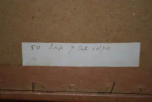 Johannes Gerardus Keulemans - kleurenlitho uit 1870 - Spechtvogels ♀+♂ kopen? Bied vanaf 45!