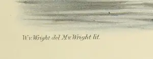 Wilhelm von Wright - Litho, Podiceps Cristatus, uit Svenska foglar (...) kopen? Bied vanaf 1!