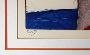 Dana Andreev - Disgnised kopen? Bied vanaf 100!