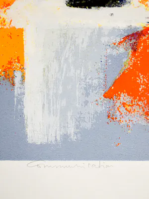 Wil Willemsen - Communication kopen? Bied vanaf 50!