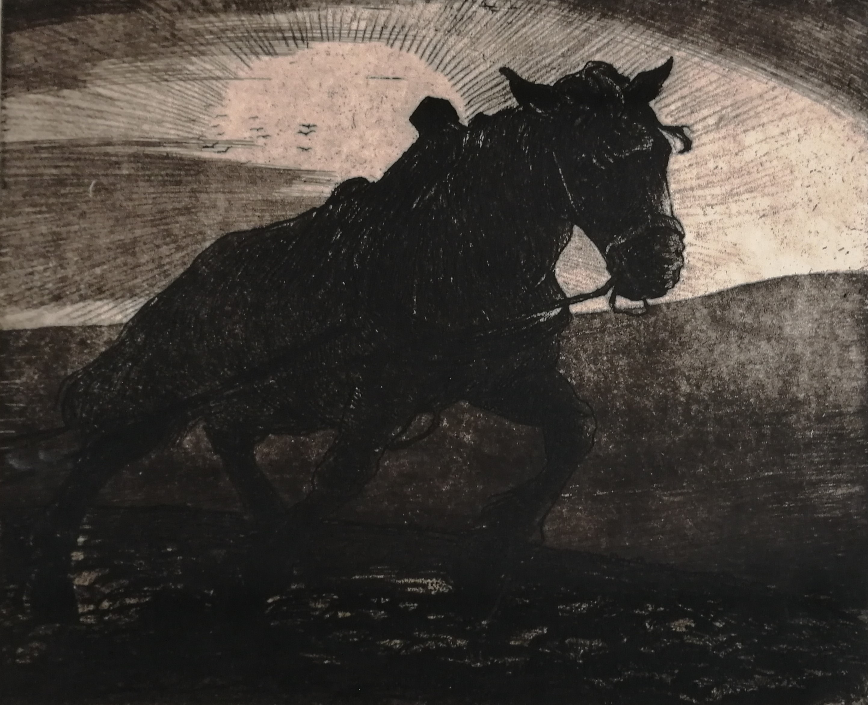 Jac. J. Koeman - Ploegpaard kopen? Bied vanaf 35!