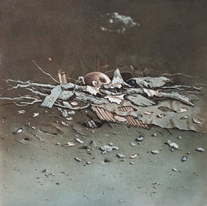 Hiroshi Asada - Wrakhout, aquatint ets kopen? Bied vanaf 55!