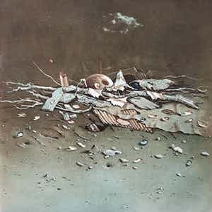 Hiroshi Asada - Wrakhout, aquatint ets verkocht voor € 55!