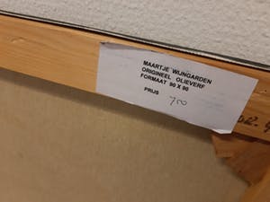 Maartje Wijngaarden - Gezicht, donkere tonen kopen? Bied vanaf 50!