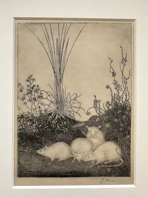 Jan Mankes - Heliogravure " Vier muizen " kopen? Bied vanaf 110!