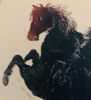 Rein Snapper - Steigerende paarden kopen? Bied vanaf 20!