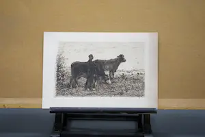 Jan Vrolijk - Boer met koeien kopen? Bied vanaf 15!