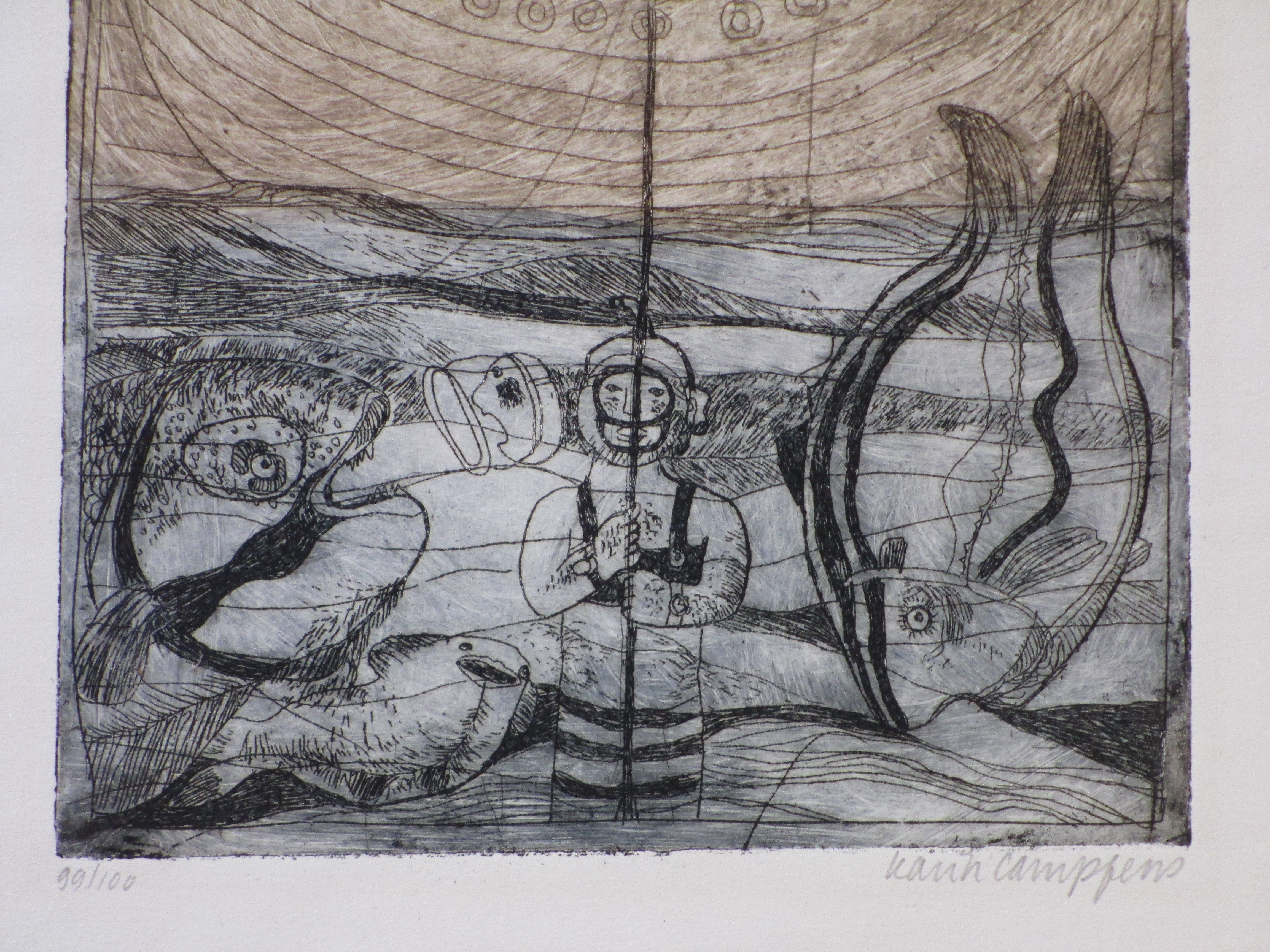 Karin Campfens - Visse(rs)(n)leven - Kleurets kopen? Bied vanaf 35!